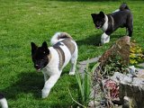 2010_05_24 289.jpg